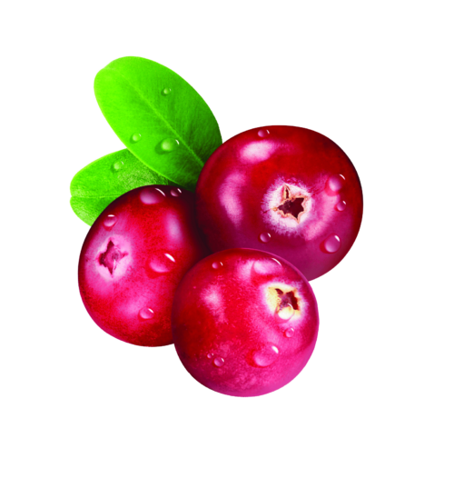 Cranberry